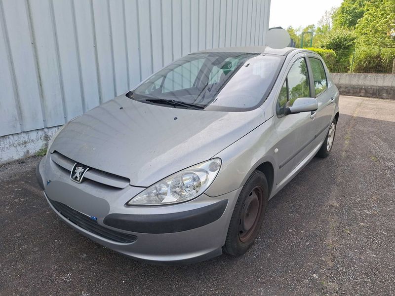 Peugeot 307 1.6 — 1/8