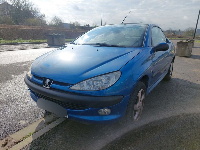 Peugeot 206 1.6 — 1/8