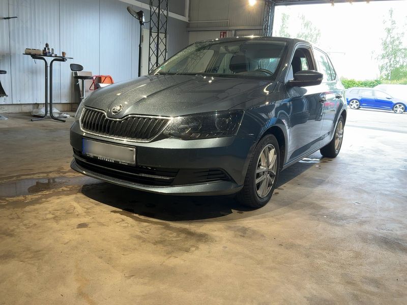 Skoda Fabia 1.0 TSI — фото 1