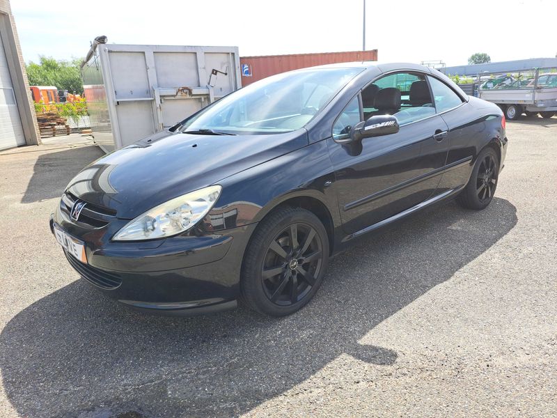 Peugeot 307 2.0 — 1/8