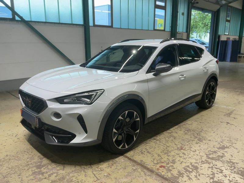 Cupra Formentor 2.0 TSI — фото 1
