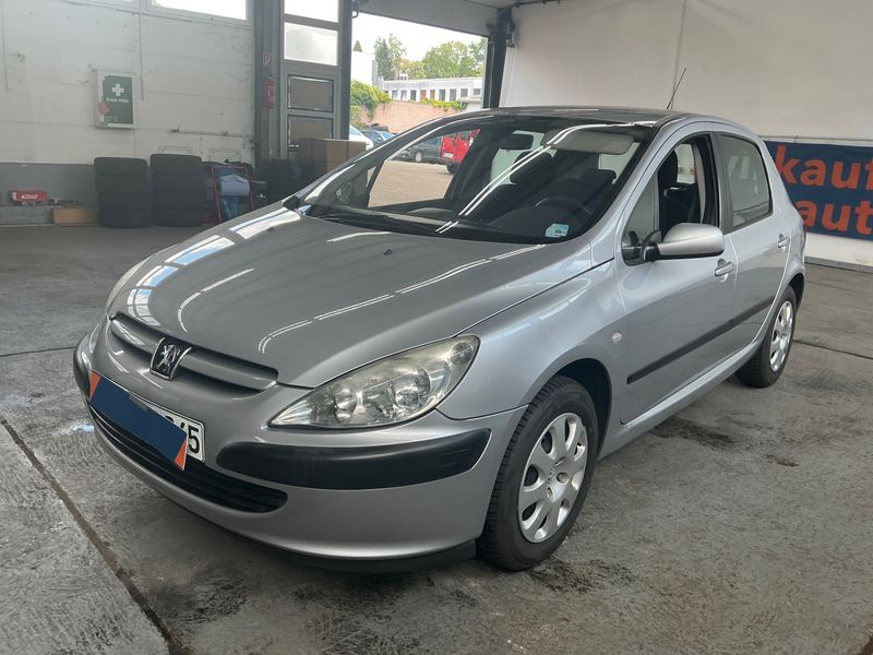 Peugeot 307 1.6 — 1/8