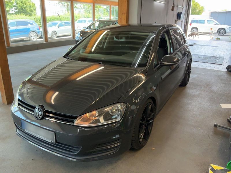 Volkswagen Golf VII 2.0 TDI — фото 1