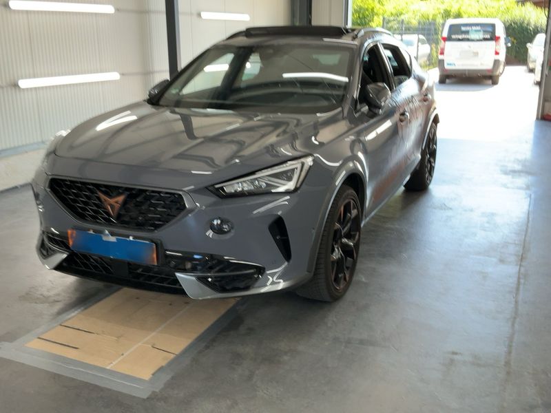 Cupra Formentor 2.0 TSI — 1/8
