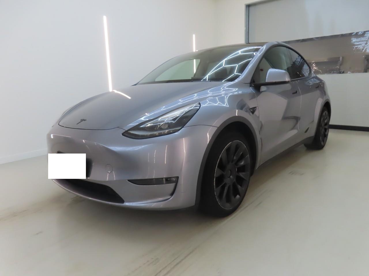 Tesla Model Y Max Range Dual AWD — фото 1